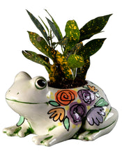 Load image into Gallery viewer, Project:  Frog Planter 9" long