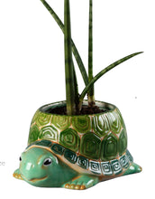 Load image into Gallery viewer, Project:  Turtle Planter 9-3/4" long