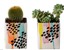 Load image into Gallery viewer, Square pencil holder/planter  4-1/4" tall