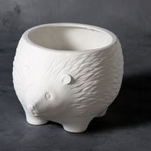Load image into Gallery viewer, Hedgehog Planter 7&quot; wide
