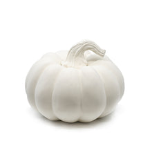 Load image into Gallery viewer, LARGE SQUATTY GOURD 8-1/4 DIAM

