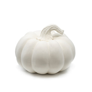 LARGE SQUATTY GOURD 8-1/4 DIAM