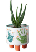Load image into Gallery viewer, Footed Round Planter 6-1/2&quot; diameter
