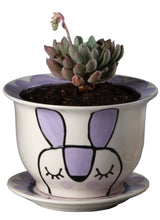 Load image into Gallery viewer, Flared Planter with Saucer Large 7-3/4&quot; diameter
