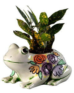 Project:  Frog Planter 9" long