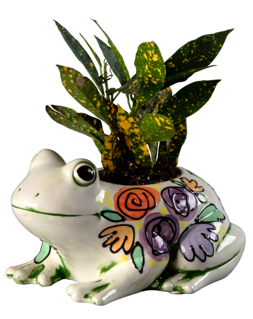 Project:  Frog Planter 9