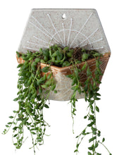 Load image into Gallery viewer, Hexagon Wall Planter 7-1/2&quot;
